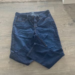 Ana skinny ankle jean